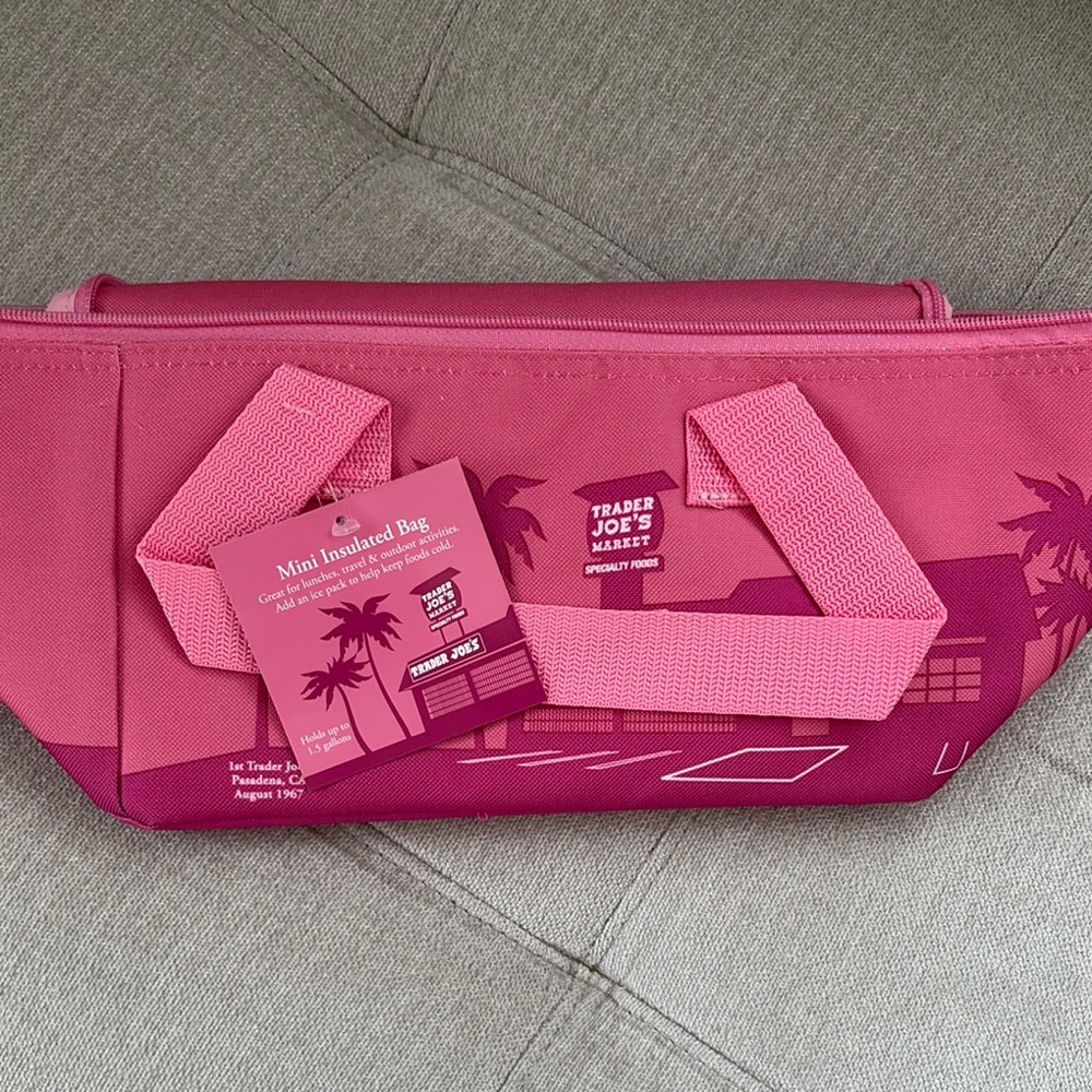 Trader Joe’s mini insulated bag cooler